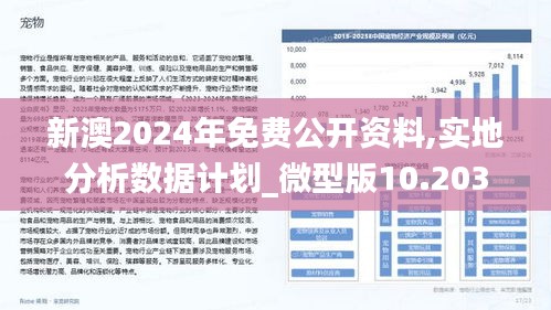 2025新澳正版今晚资料,全面释义、专家解读解释与落实与警惕虚假宣传